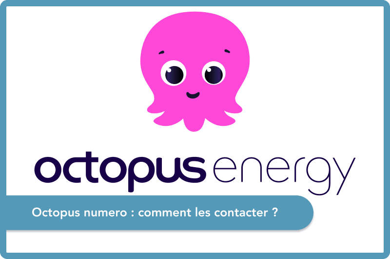 Octopus numéro : comment les contacter ?